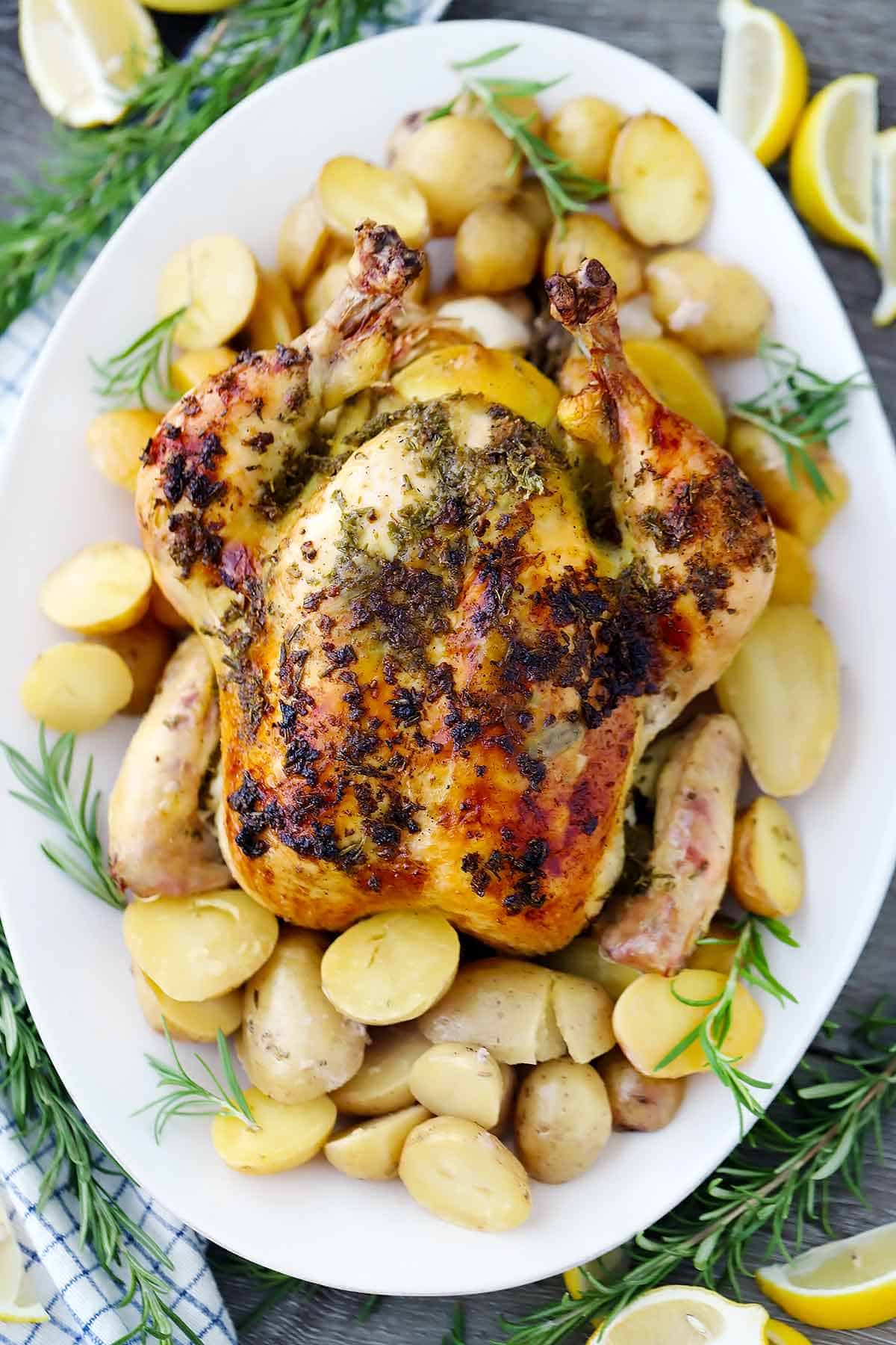 Overhead shot of a whole roasted chicken with potatoes, rosemary, and lemon.