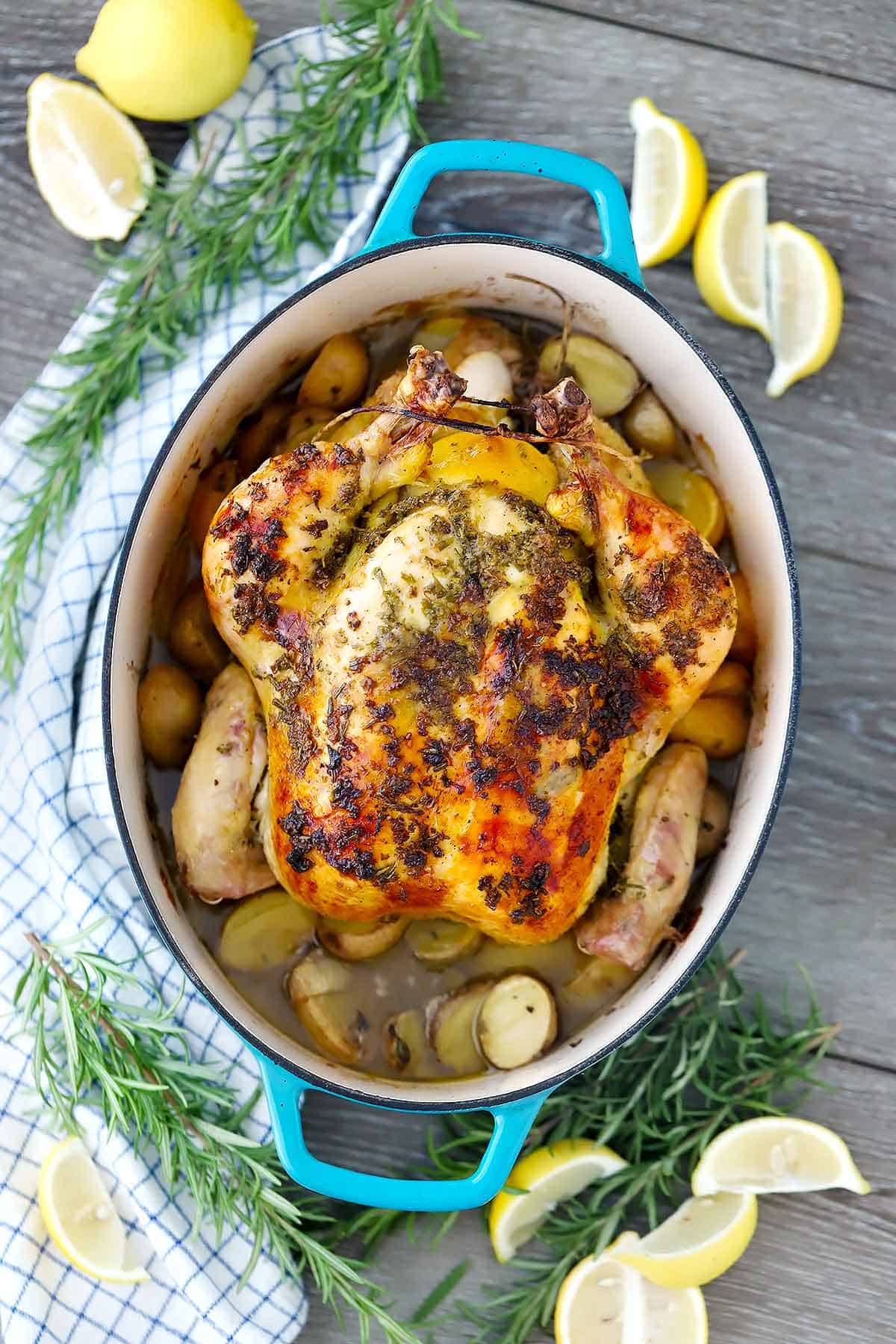 A whole chicken roasted in a blue cast iron enamel dutch oven with potatoes.