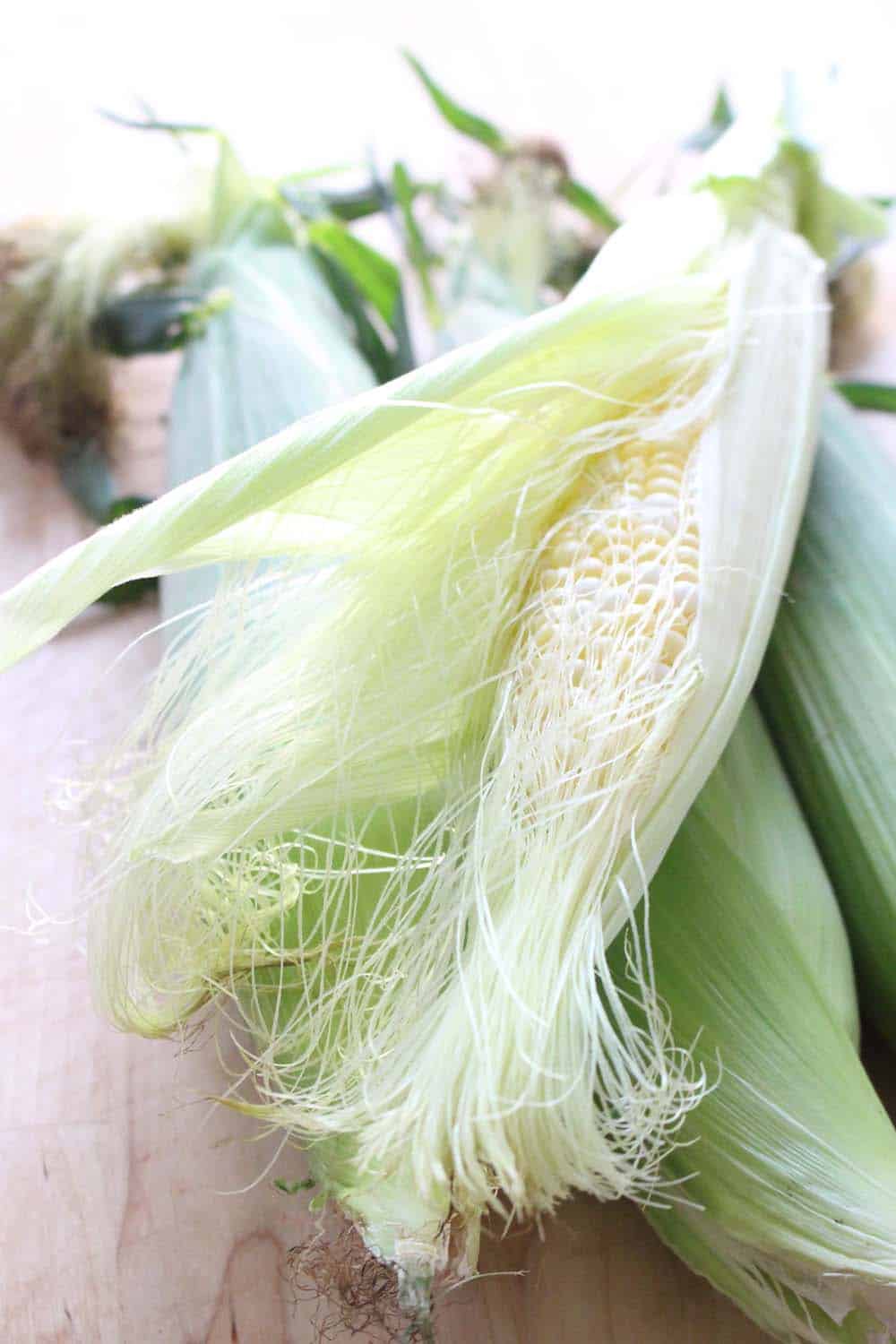 Fresh corn in an open husk.