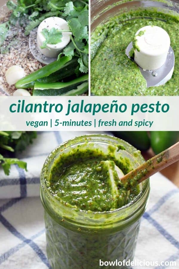 Photo collage showing a food processor with pesto ingredients prior to being blended, a food processor with blended pesto inside, and an open glass jar filled with pesto. Overlaid text reads, "Cilantro Jalapeño Pesto. Vegan, 5-minutes, fresh and spicy."