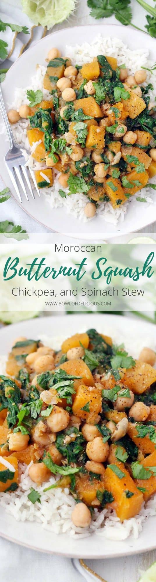 Moroccan Butternut Squash, Chickpea, and Spinach Stew | This spicy, healthy, vegan stew is packed full of butternut squash, chickpeas, spinach, and warm moroccan flavors. It's healthy, hearty, and gluten-free. Make in bulk and freeze the extra! #RasElHanout #VeganRecipes #ButternutSquash #Chickpeas #VeganStews #GlutenFree #GrainFree #DairyFree