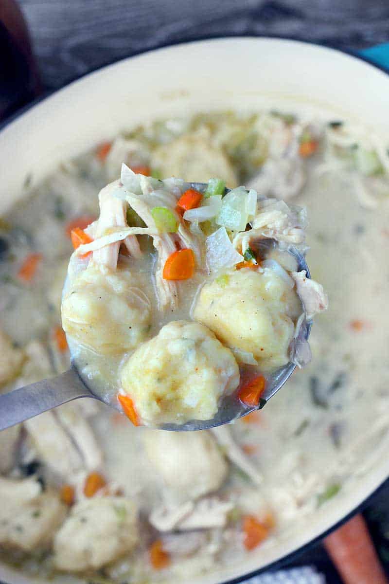 a ladle full of chicken, carrots, celery, and dumplings