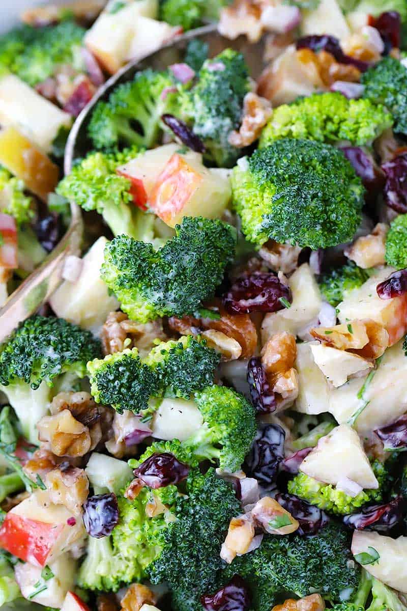 Close up photo of broccoli, apple, walnut, and cranberry salad.
