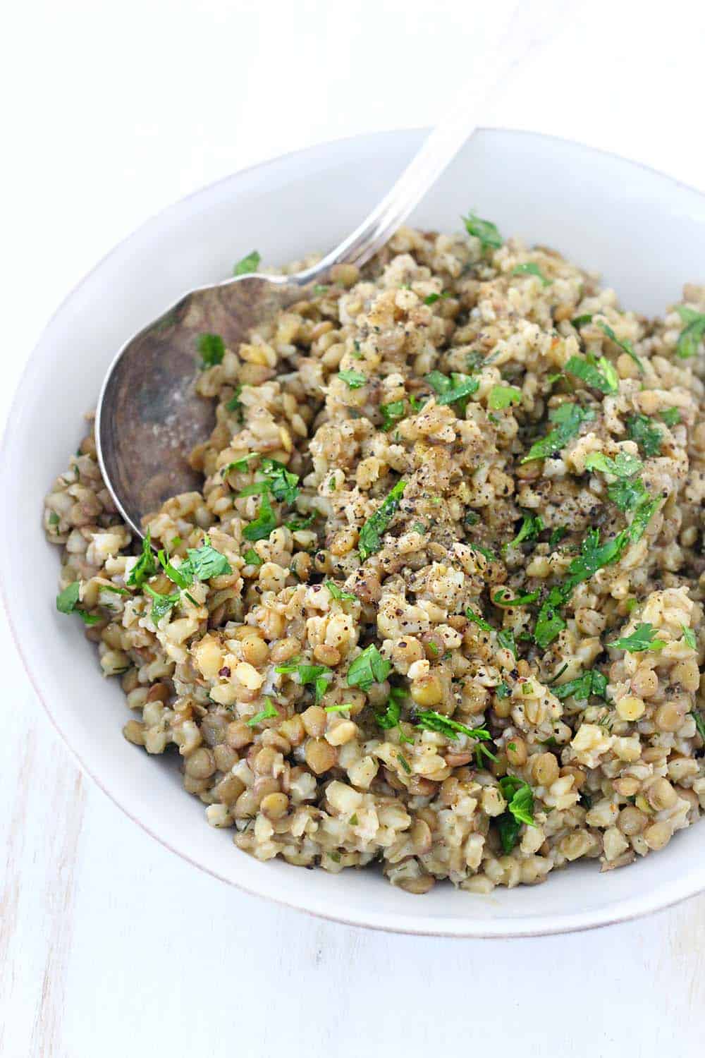 Refreshing, hearty, and healthy, this Barley and Lentil Salad is the perfect vegan side dish or light meal. It's dressed with a delicious and tangy fresh dill vinaigrette, and it's SO inexpensive and easy to make!