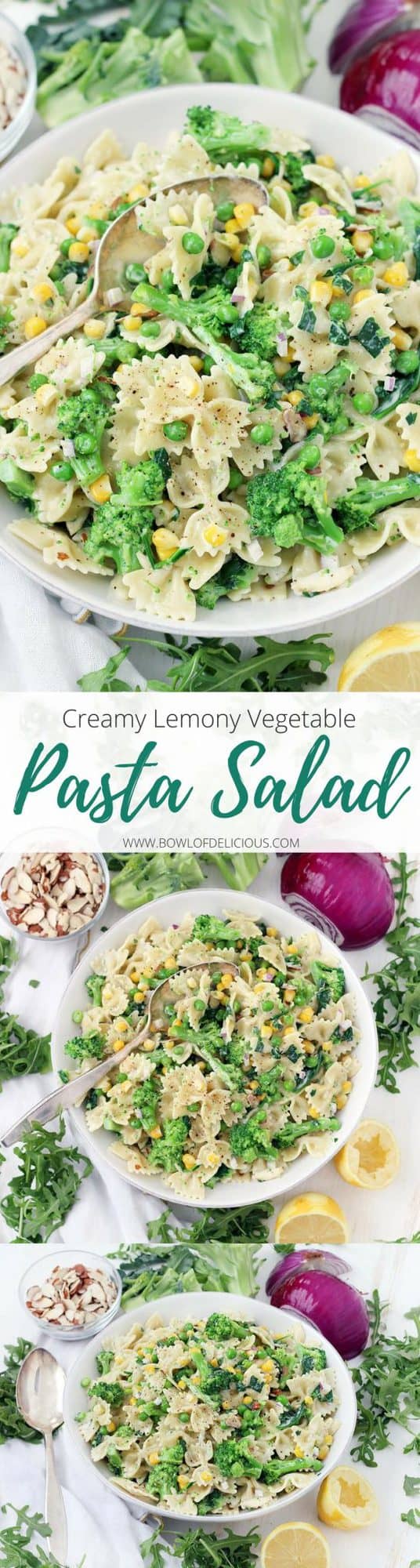 This creamy lemony vegetable pasta salad recipe is a cinch to make- the vegetables boil directly in the pasta water for less effort and clean up. Tossed in a light lemon garlic mayo and olive oil dressing, this is the perfect vegetarian make-ahead side or light meal.