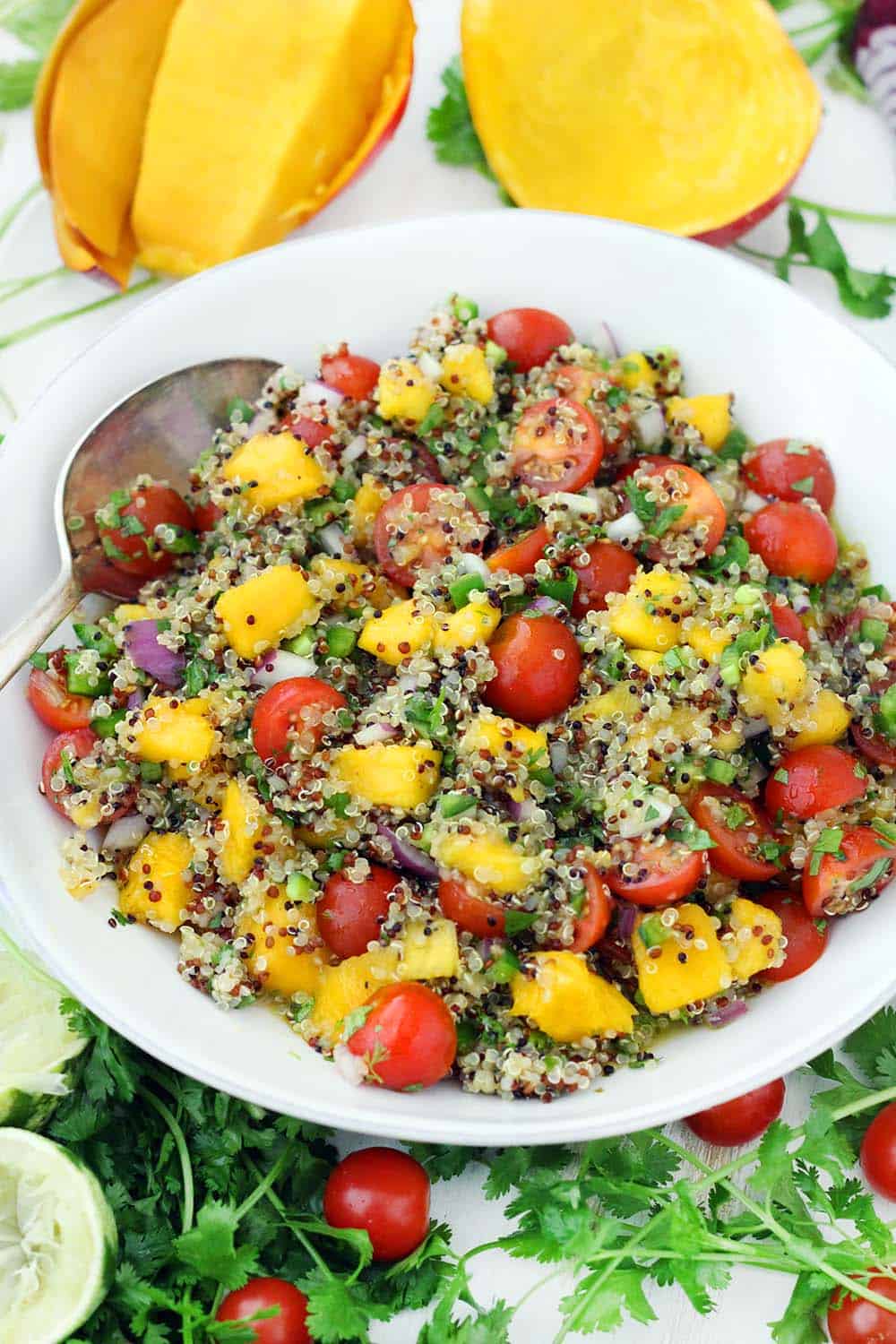 Served cold, this refreshing Mango Quinoa Salad is the perfect sweet/spicy balance, with jalapeños, cilantro, onion, and tomatoes. Make this vegan recipe ahead of time and serve straight out of the fridge! It's amazing paired with a spicy protein, like blackened tilapia or jerk chicken.