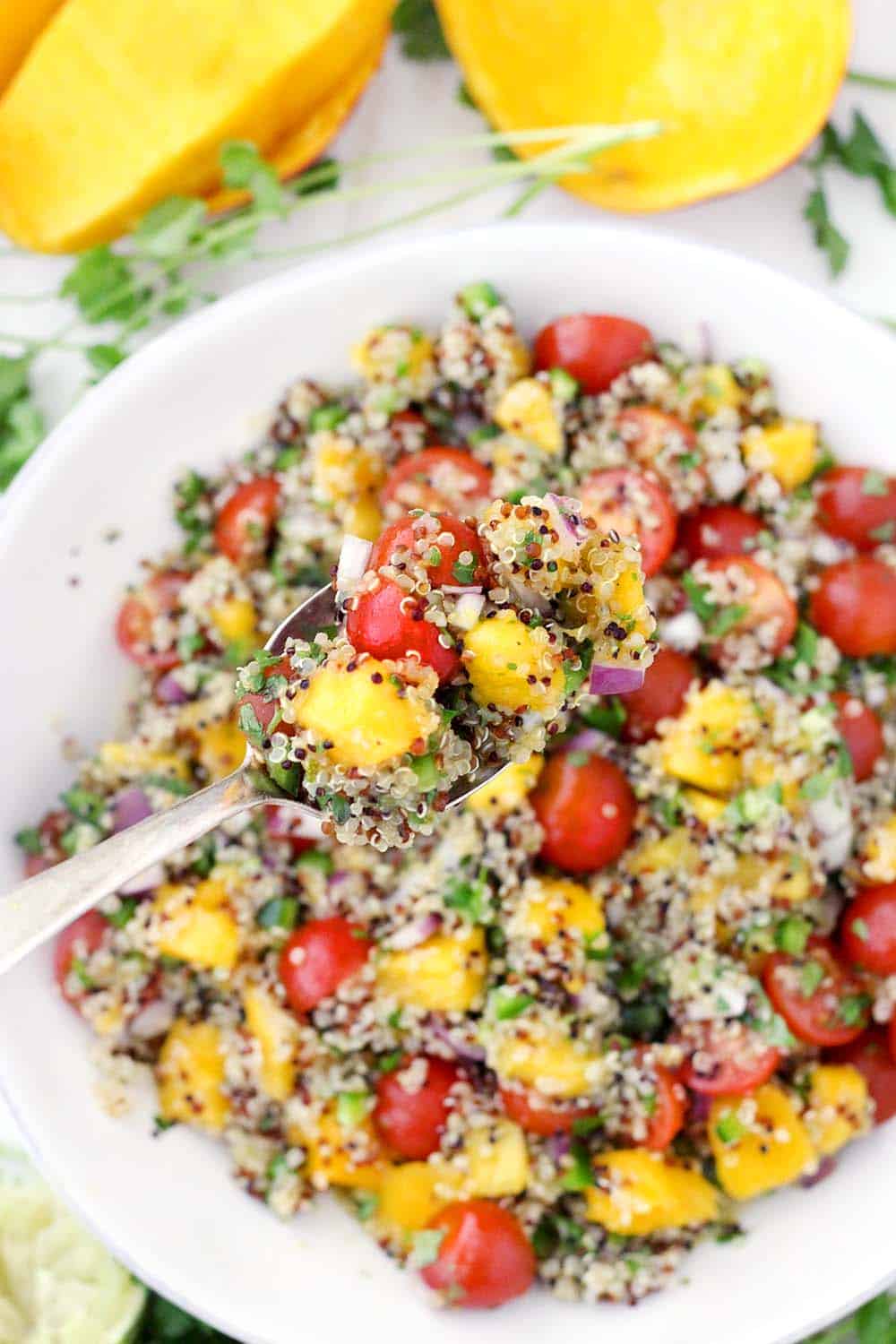 Served cold, this refreshing Mango Quinoa Salad is the perfect sweet/spicy balance, with jalapeños, cilantro, onion, and tomatoes. Make this vegan recipe ahead of time and serve straight out of the fridge! It's amazing paired with a spicy protein, like blackened tilapia or jerk chicken.