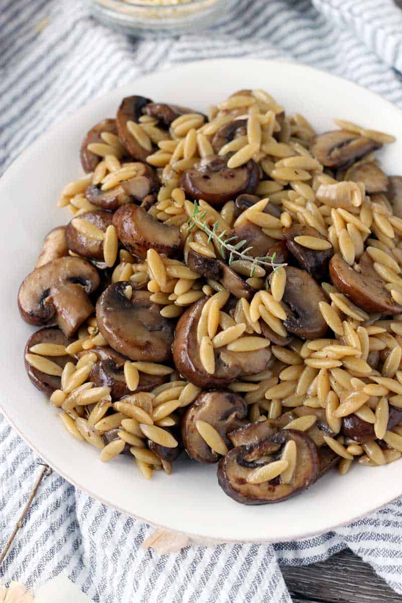 Close up of orzo and mushrooms on a white plate with a sprig of thyme on top