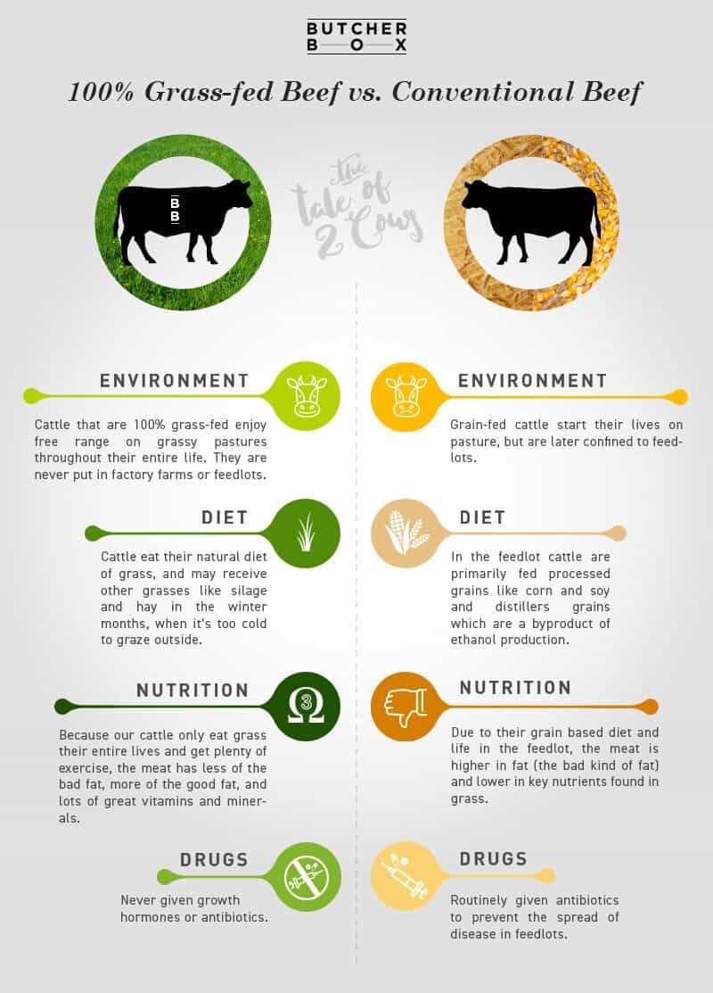 differences between grass-fed beef and conventional beef