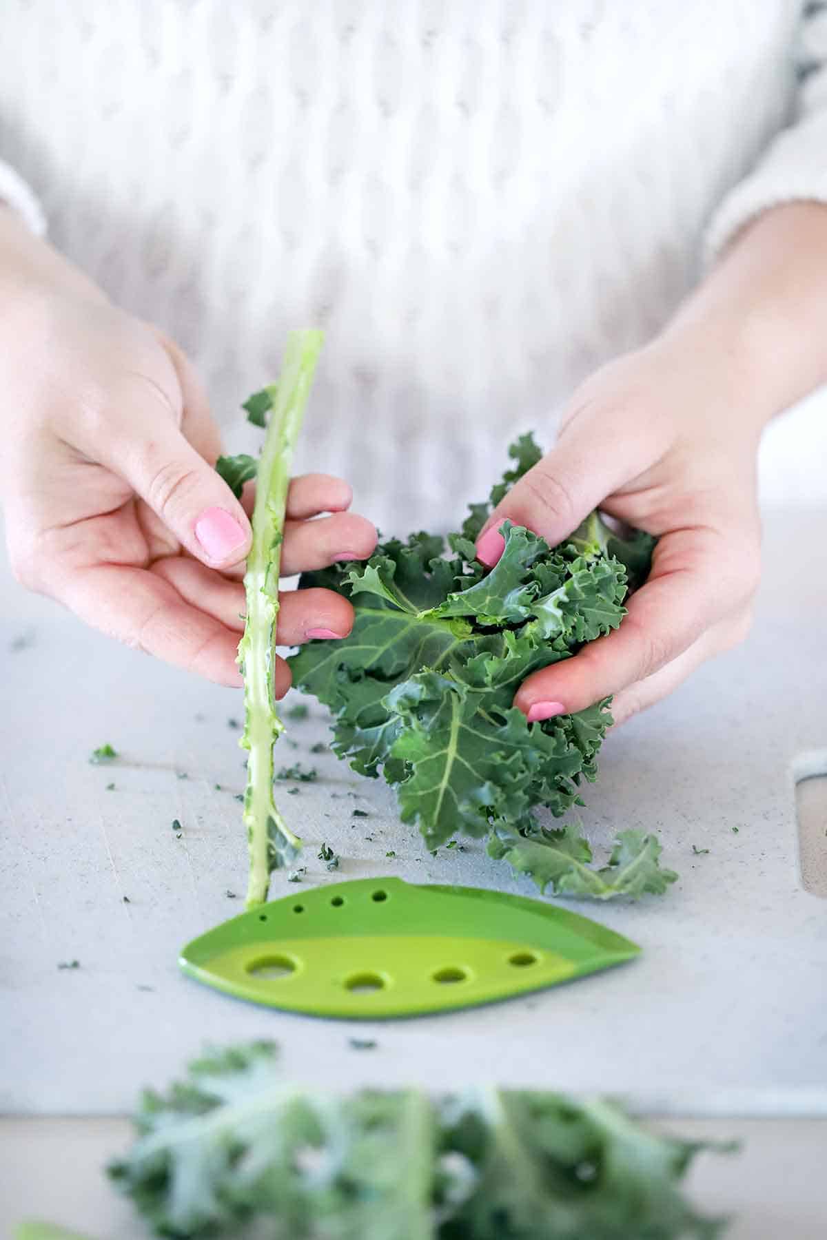 Stem removed from kale leaves with a leaf stripper.
