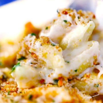 Close up of Italian mac and cheese: tubular pasta coated in melted cheese, herbs, and breadcrumbs.