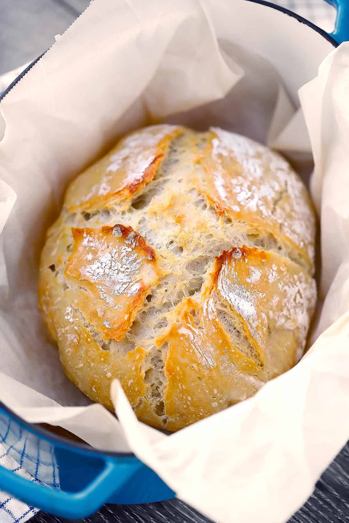 A loaf of no knead crusty artisan bread in a Dutch oven lined with parchment paper.