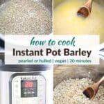 Pinterest image for Instant Pot Barley.