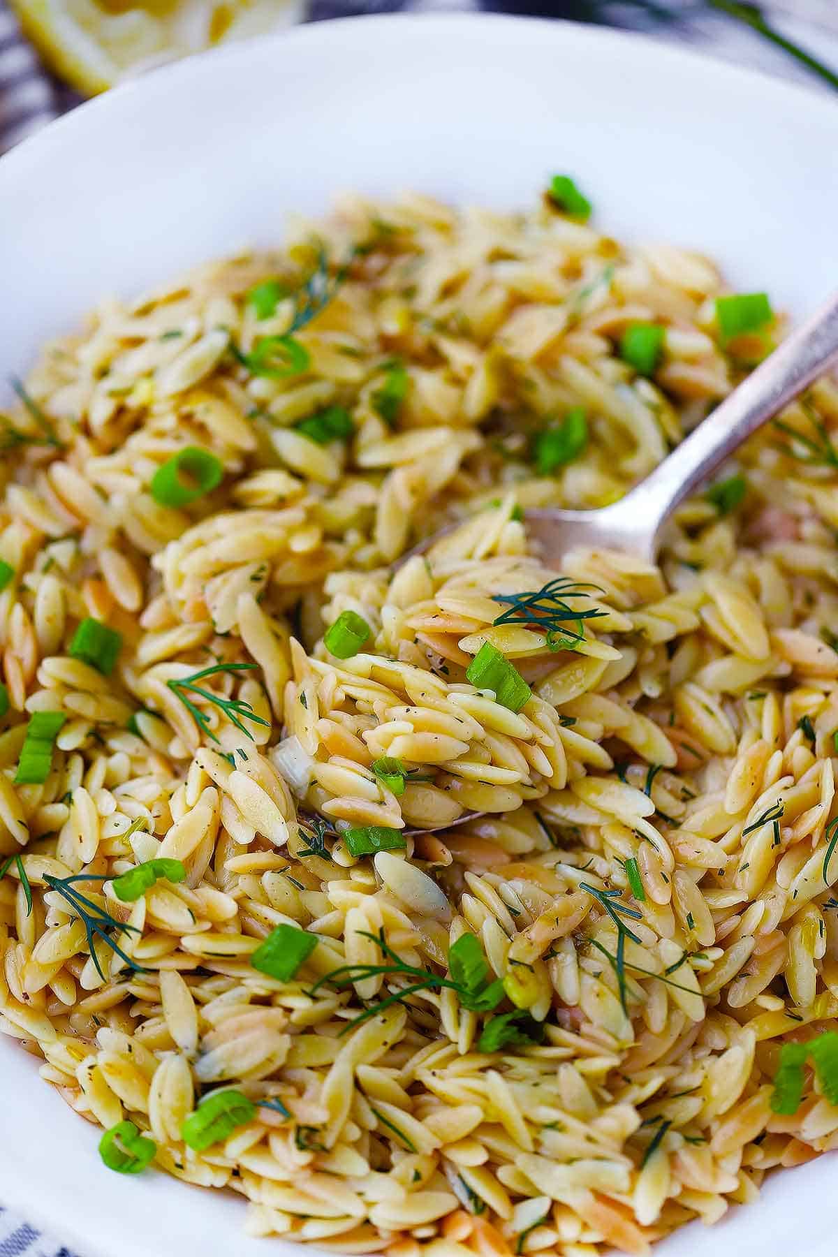 Close up photo of a spoonful of orzo pilaf.