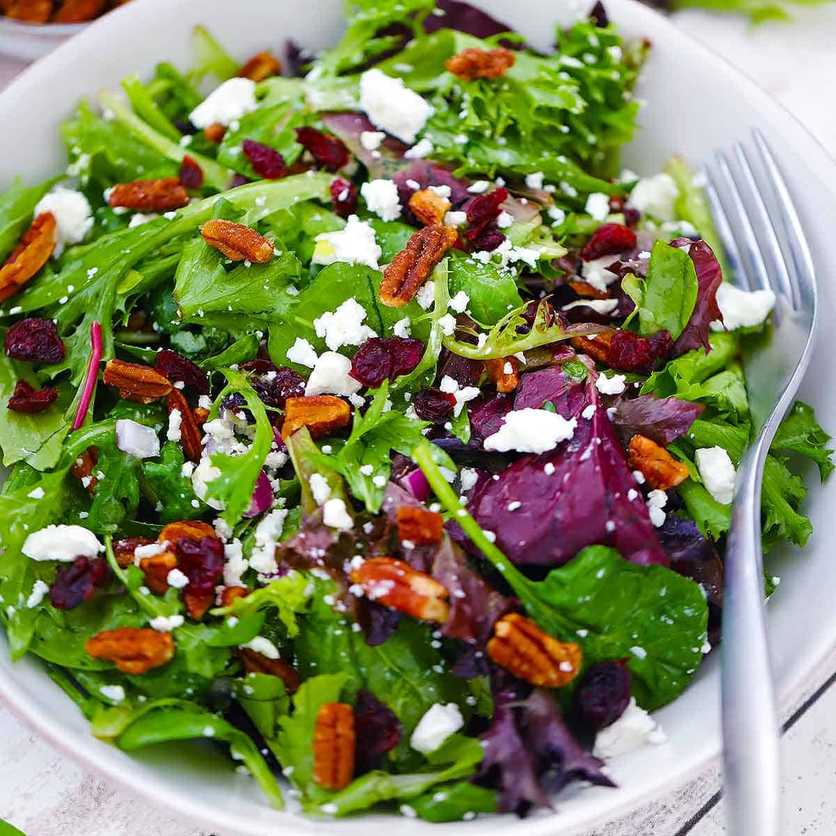 Salad Recipes (sides, dinner salads, and more!) - Bowl of Delicious