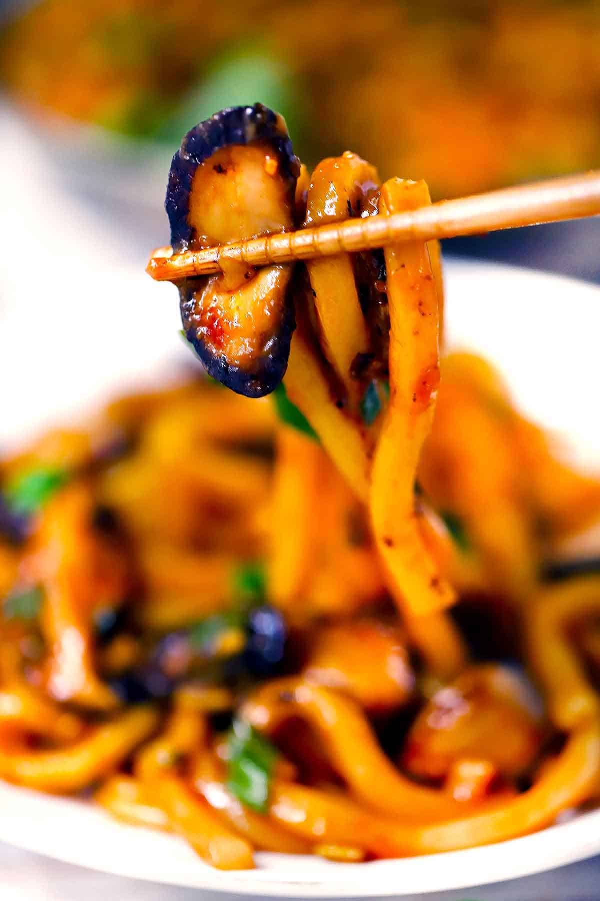 Chopsticks holding udon noodles and mushrooms.