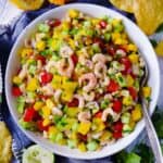 Square photo of a white bowl with shrimp ceviche in it.