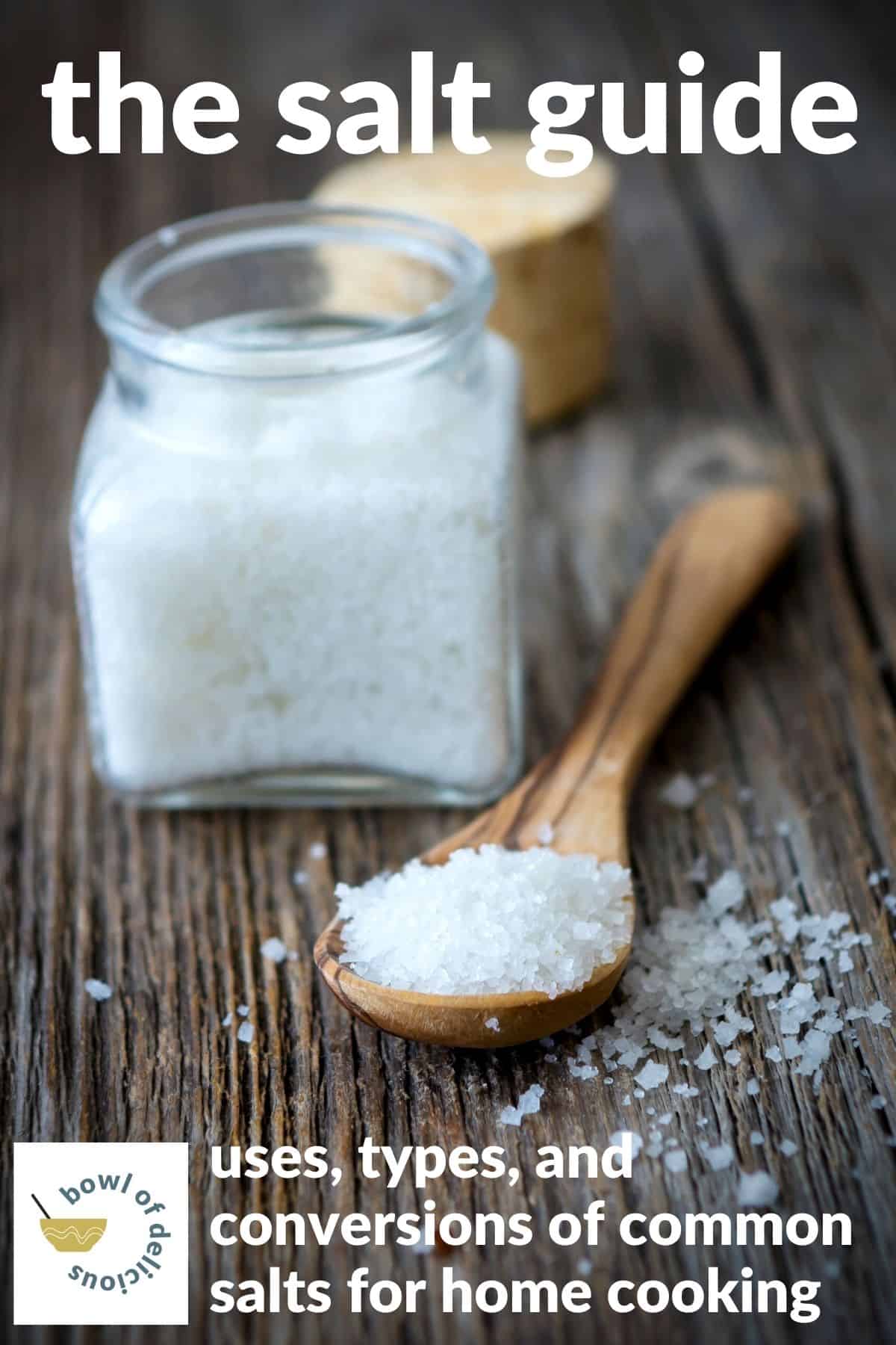 A spoonful of salt with the words "the salt guide"