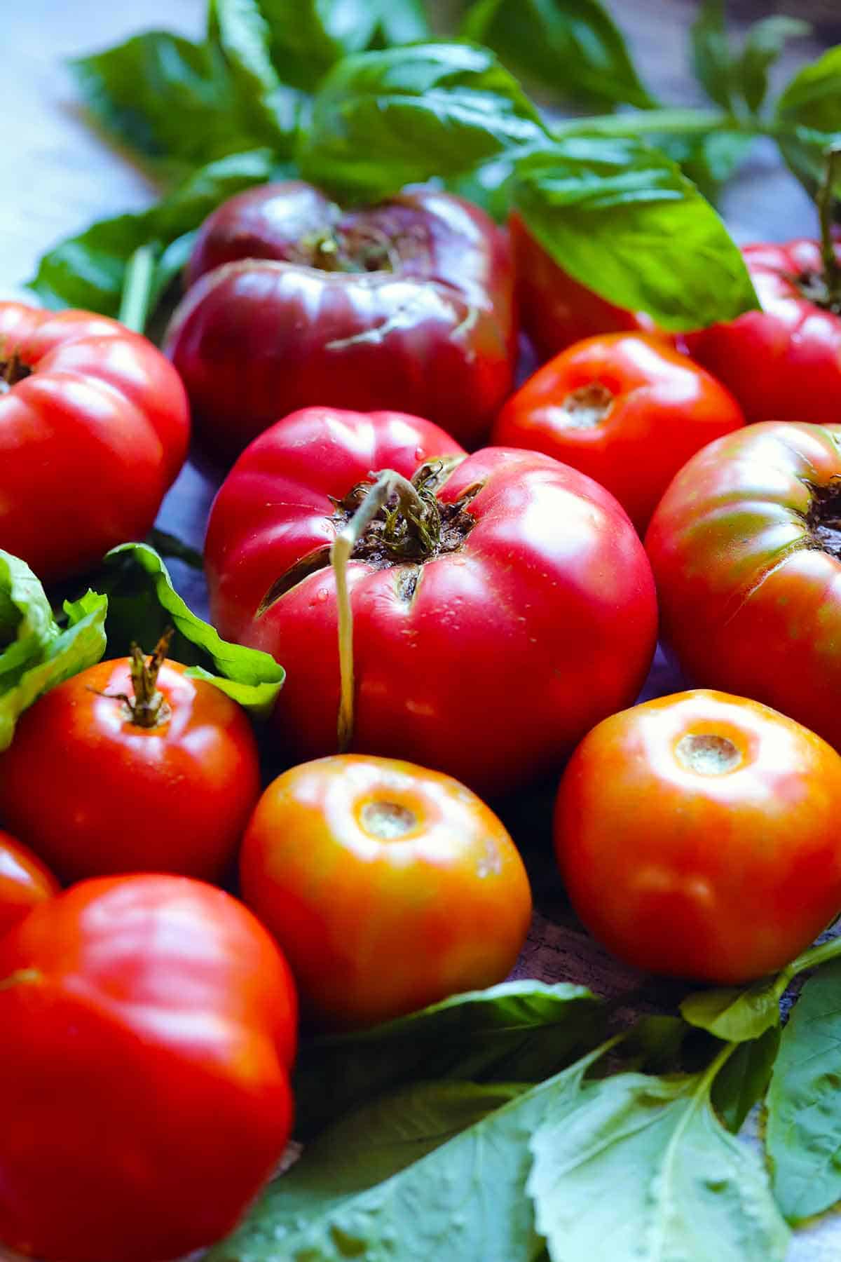 A variety of garden tomatoes and fresh basil.