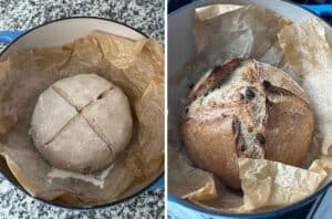 Process collage showing no knead cinnamon raisin bread in a dutch oven on parchment paper before and after baking.