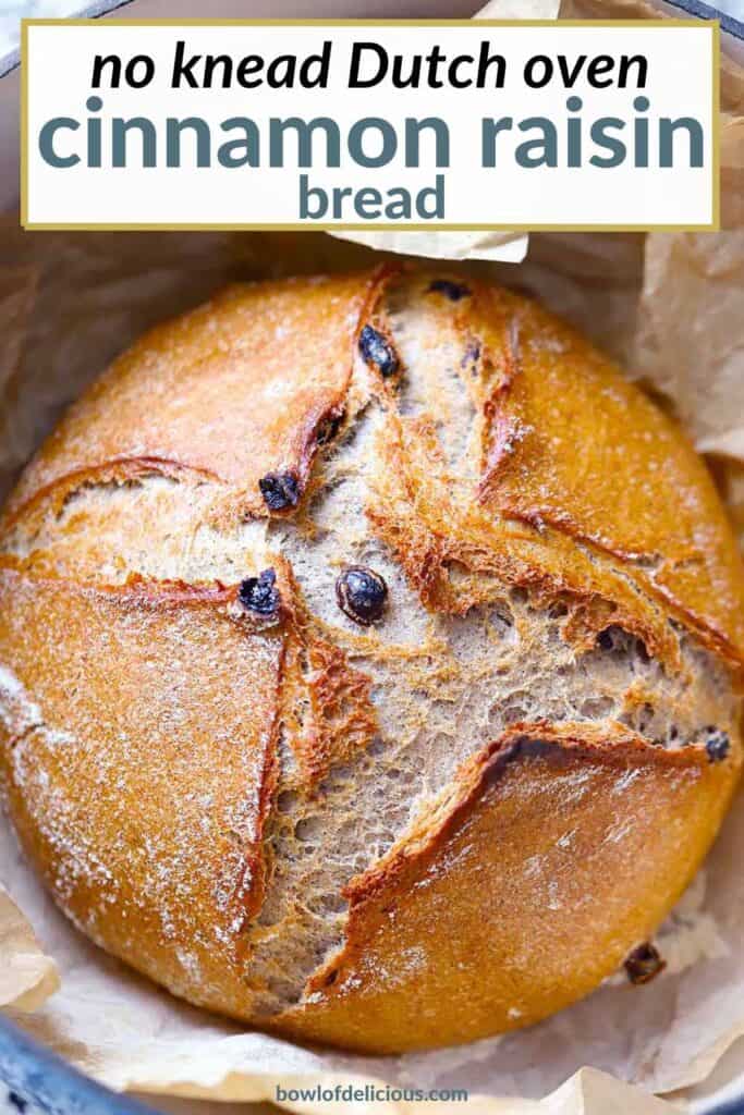 Pinterest image for no knead Dutch oven cinnamon raisin bread.