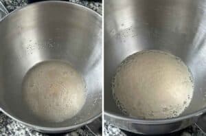 Process collage showing yeast mixed with water and sugar before and after proofing for 10 minutes, showing foam and doubling in size in the second photo.
