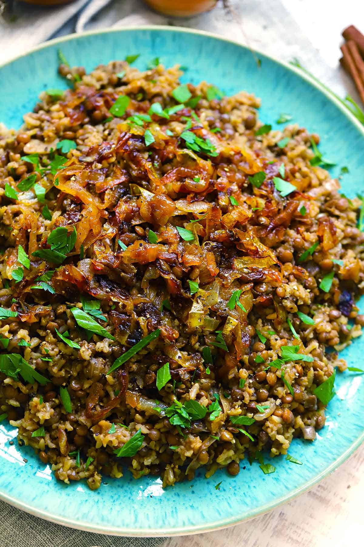 Close up photo of mujadara showing the texture of the rice, lentils, and caramelized onions.