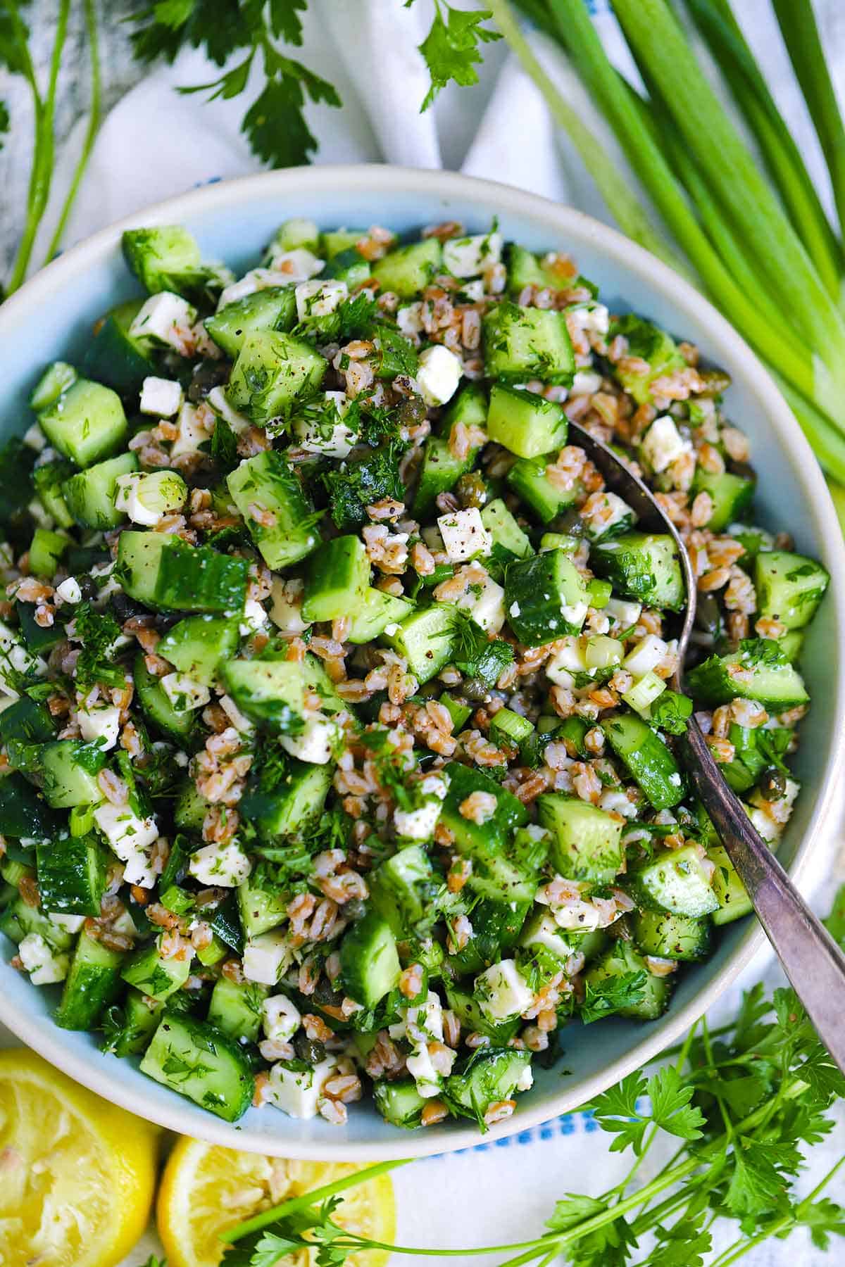 Overhead view of a bowl of cold farro salad with cucumbers, feta cheese, green onions, herbs, and capers, with a spoon nestled in the salad, and ingredients scattered around the bowl.