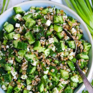 Square cropped photo of a close up overhead view of cold farro salad with cucumbers, feta cheese, herbs, capers, and green onions, with a spoon nestled in.