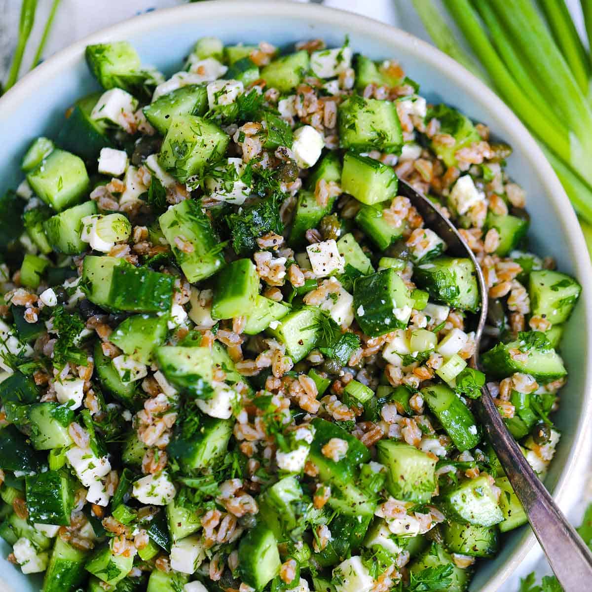 Cold Farro Cucumber Salad